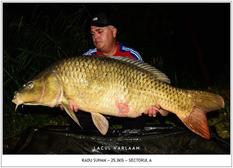 Radu Suhan - 25,3kg, Sectorul A.jpg