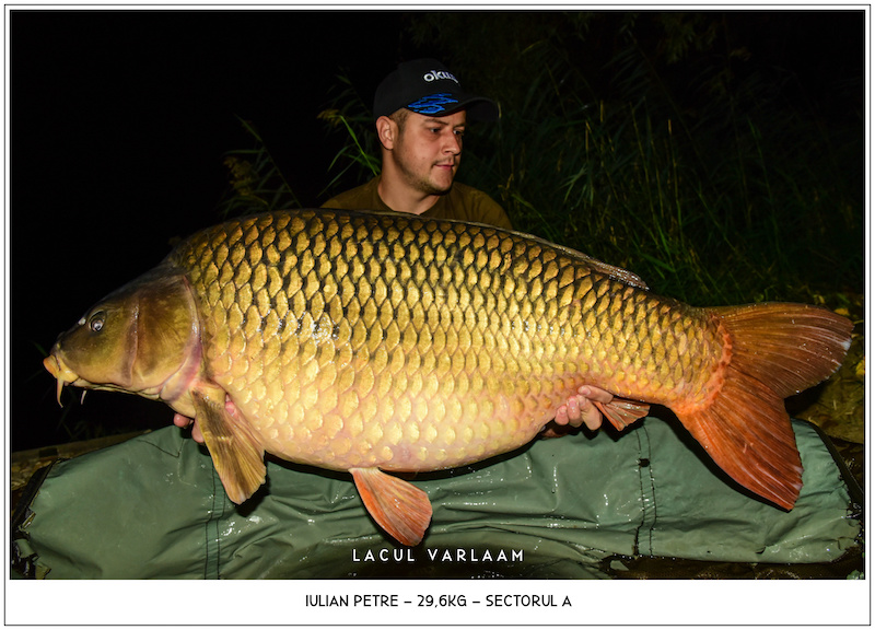 Iulian Petre - 29,6kg, Sectorul A.jpg