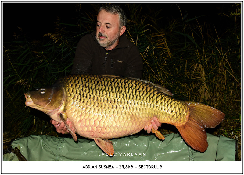 Adrian Susnea - 24,8kg, Sectorul B.jpg