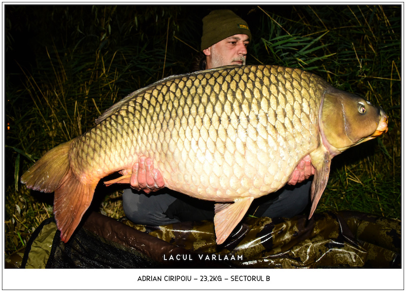 Adrian Ciripoiu - 23,2kg, Sectorul B.jpg