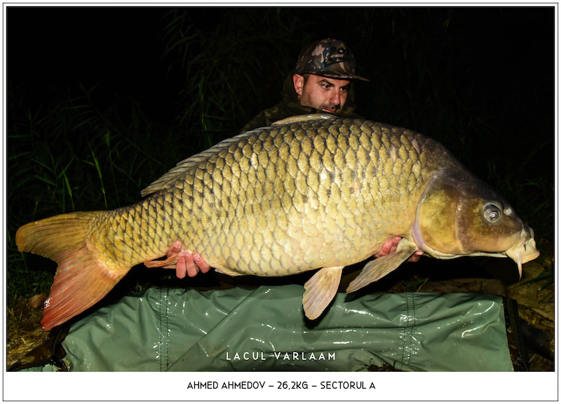 Ahmed Ahmedov - 26,2kg, Sectorul A.jpg