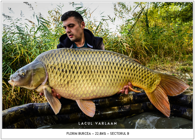 Florin Burcea - 22,8kg, Sectorul B.jpg