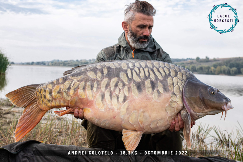 Andrei Colotelo - 18,3kg.jpg