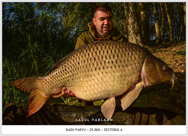 Radu Parvu - 24,3kg, Sectorul A.jpg