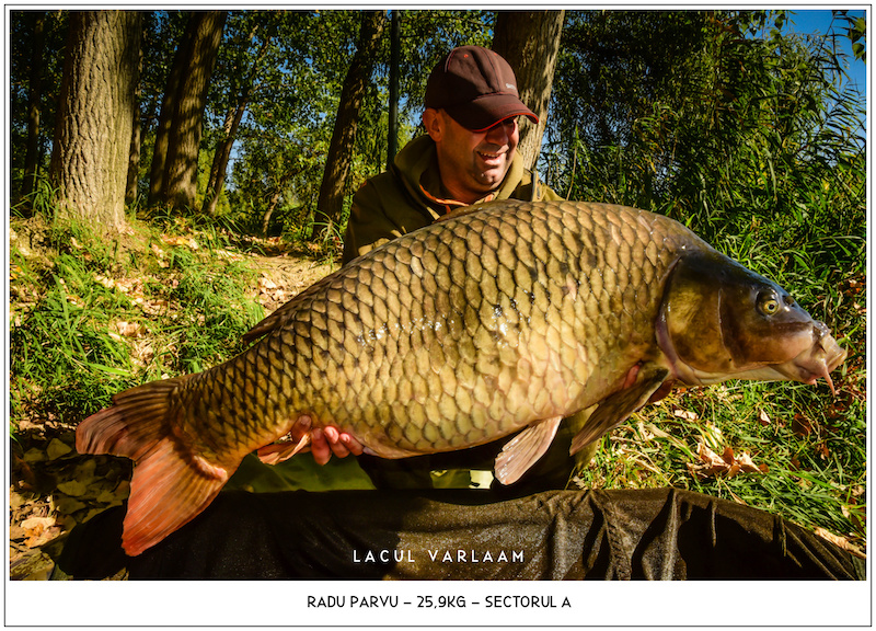 Radu Parvu - 25,9kg, Sectorul A.jpg