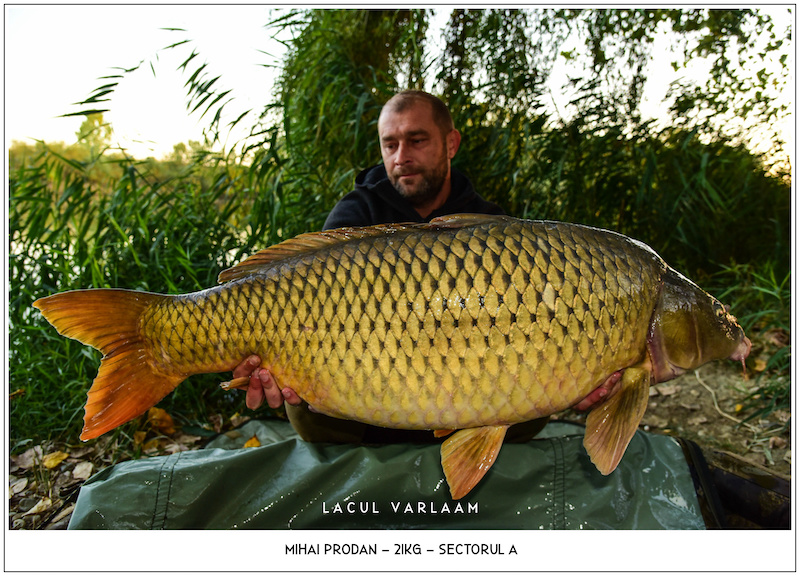 Mihai Prodan - 21kg, Sectorul A.jpg