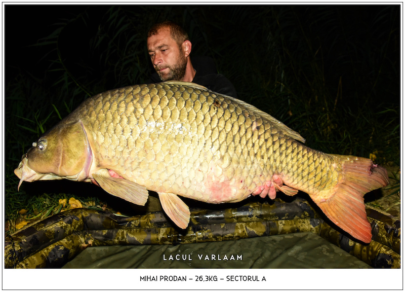 Mihai Prodan - 26,3kg, Sectorul A.jpg