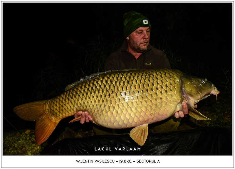 Valentin Vasilescu - 19,8kg, Sectorul A.jpg