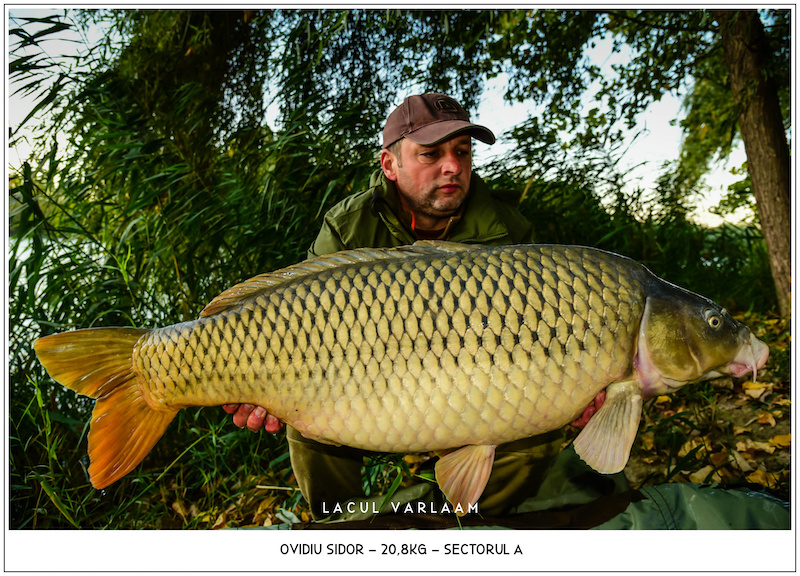 Ovidiu Sidor - 20,8kg, Sectorul A.jpg