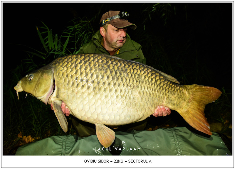 Ovidiu Sidor - 22kg, Sectorul A.jpg