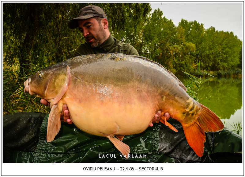 Ovidiu Peleanu - 22,4kg, Sectorul B.jpg