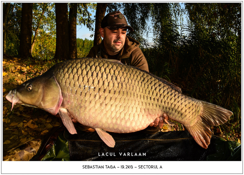 Sebastian Taga - 19,2kg, Sectorul A.jpg