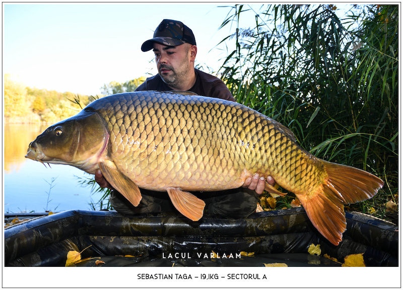 Sebastian Taga - 19,1kg, Sectorul A.jpg