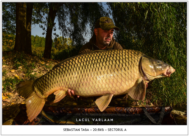 Sebastian Taga - 20,6kg, Sectorul A.jpg