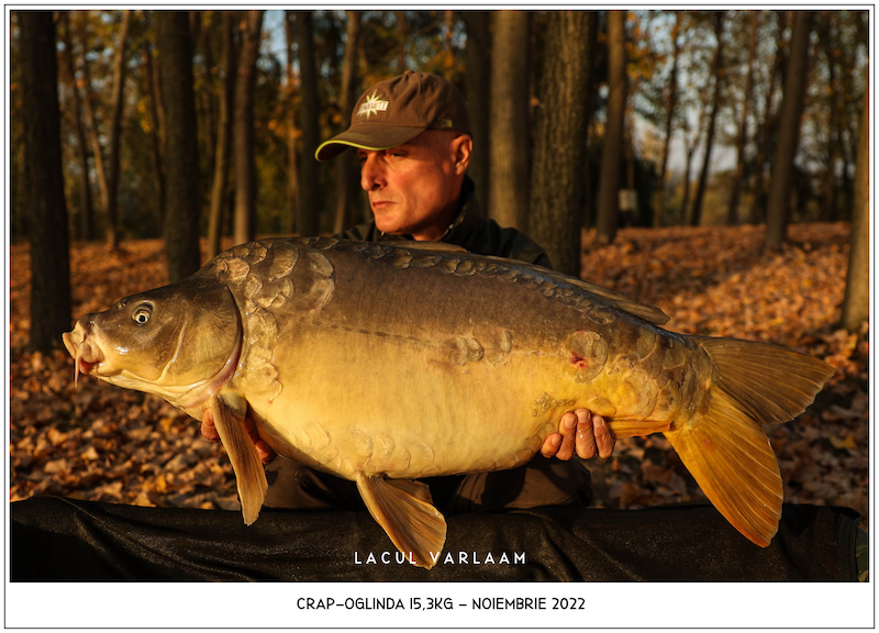 Vlad Pavlovici - 15,3kg, Sectorul A.jpg