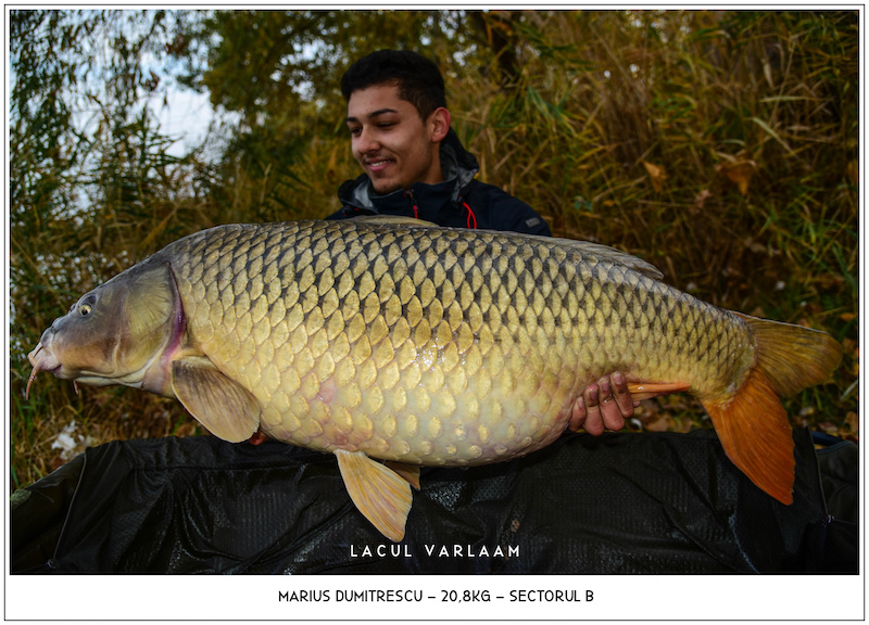 Marius Dumitrescu - 20,8kg, Sectorul B.jpg