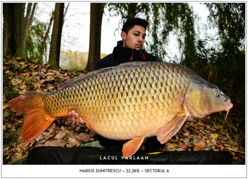 Marius Dumitrescu - 22,2kg, Sectorul A.jpg