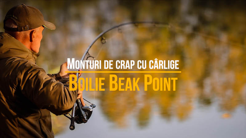 Monturi de crap cu carlige Boilie Beak Point.jpg