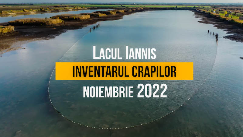 Lacul Iannis - inventarul crapilor - noiembrie 2022.jpg