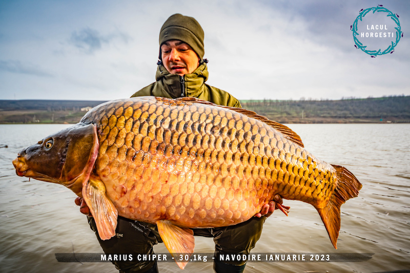 Marius Chiper - 30,1kg - navodire ianuarie 2023.jpg