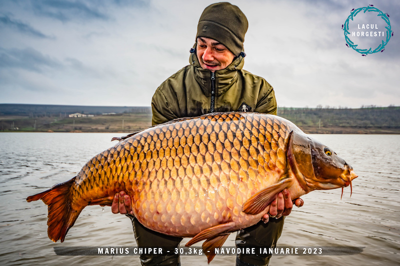 Marius Chiper - 30,3kg - navodire ianuarie 2023.jpg