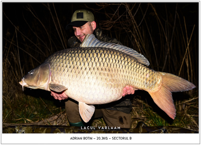 Adrian Botin - 20,3kg, Sectorul B.jpg