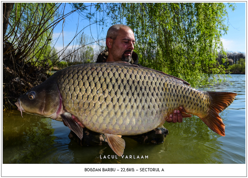 Bogdan Barbu - 22,6kg, Sectorul A.jpg