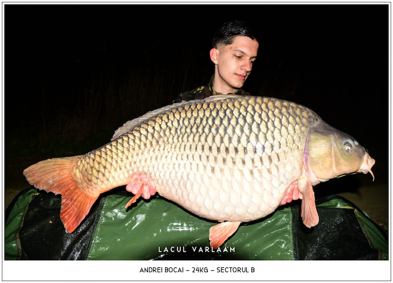 Andrei Bocai - 24kg, Sectorul B.jpg