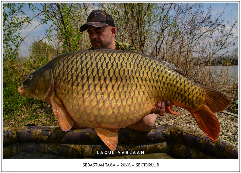 Sebastian Taga - 20kg, Sectorul B.jpg