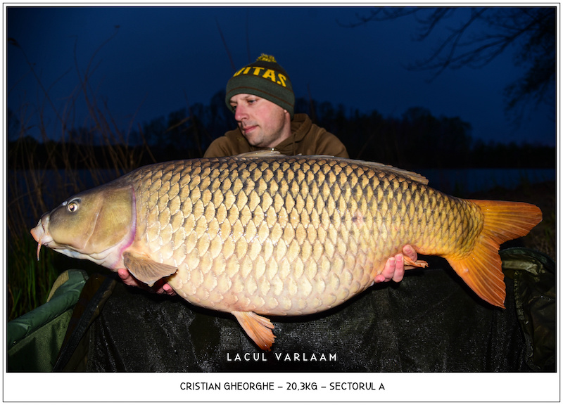 Cristian Gheorghe - 20,3kg, Sectorul A.jpg