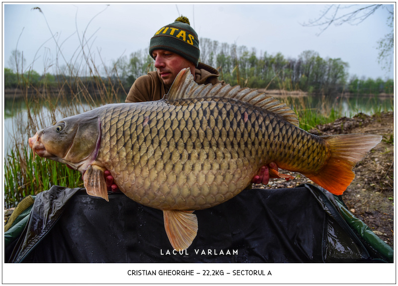 Cristian Gheorghe - 22,2kg, Sectorul A.jpg