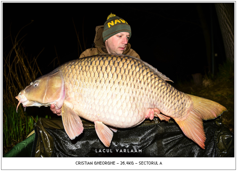 Cristian Gheorghe - 26,4kg, Sectorul A.jpg