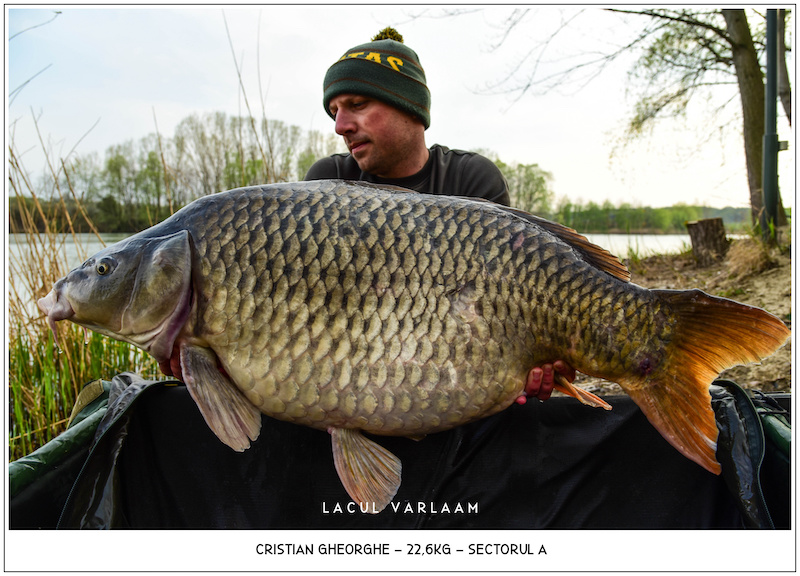 Cristian Gheorghe - 22,6kg, Sectorul A.jpg