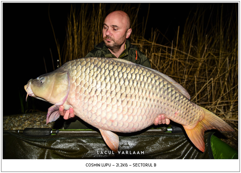 Cosmin Lupu - 21,2kg, Sectorul B.jpg