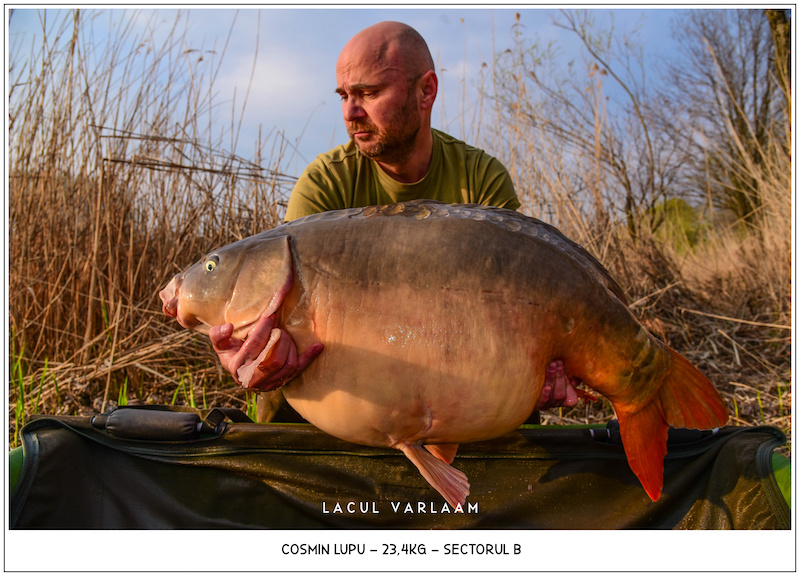 Cosmin Lupu - 23,4kg, Sectorul B.jpg