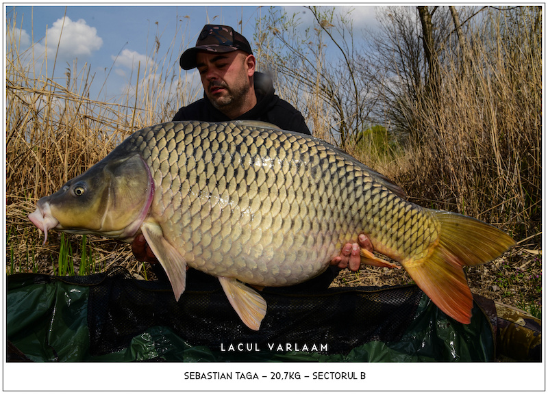 Sebastian Taga - 20,7kg, Sectorul B.jpg