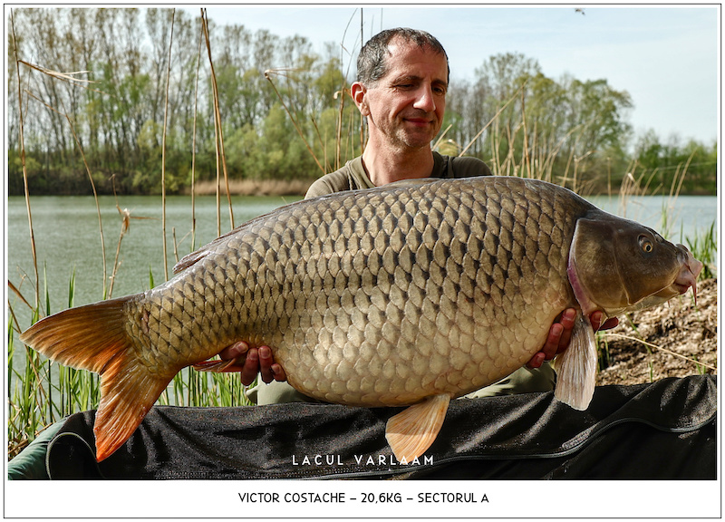 Victor Costache - 20,6kg, Sectorul A.jpg