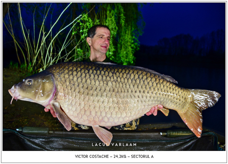 Victor Costache - 24,2kg, Sectorul A.jpg