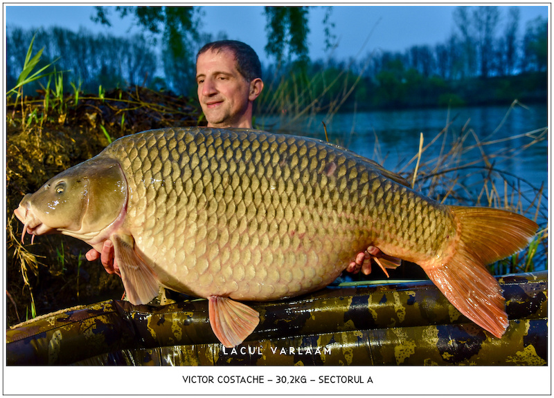 Victor Costache - 30,2kg, Sectorul A.jpg