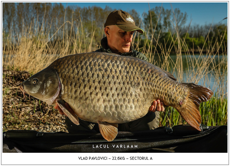 Vlad Pavlovici - 22,6kg, Sectorul A.jpg