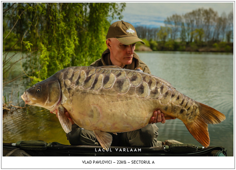 Vlad Pavlovici - 22kg, Sectorul A.jpg