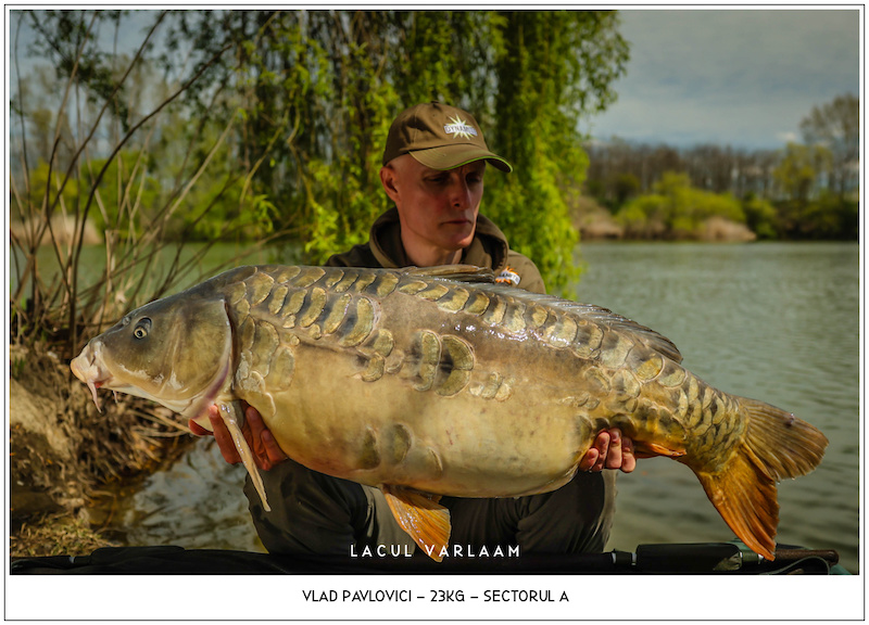 Vlad Pavlovici - 23kg, Sectorul A.jpg