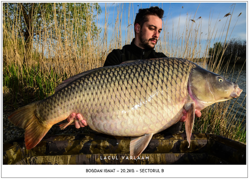 Bogdan Ignat - 20,2kg, Sectorul B.jpg