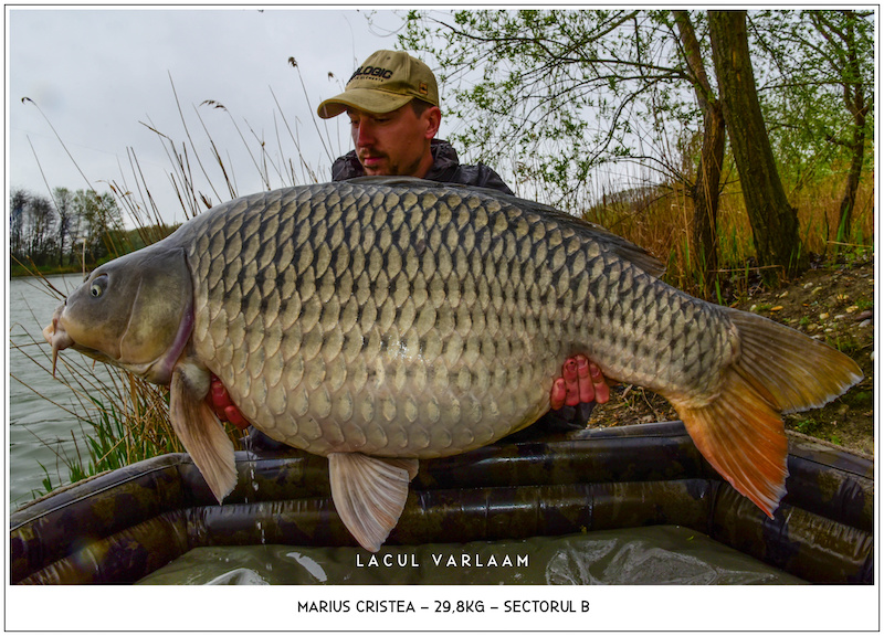 Marius Cristea - 29,8kg, Sectorul B.jpg