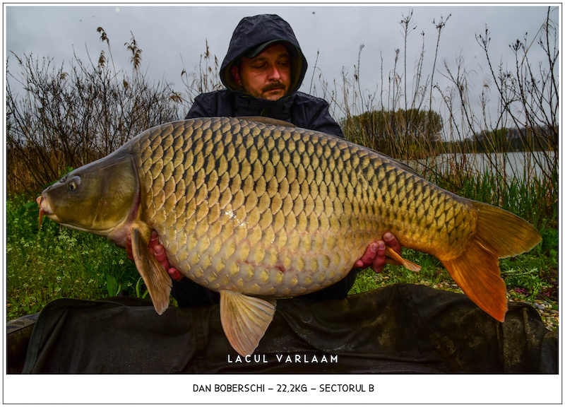 Dan Boberschi - 22,2kg, Sectorul B.jpg