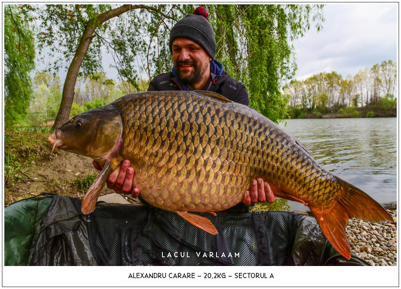 Alexandru Carare - 20,2kg, Sectorul A.jpg