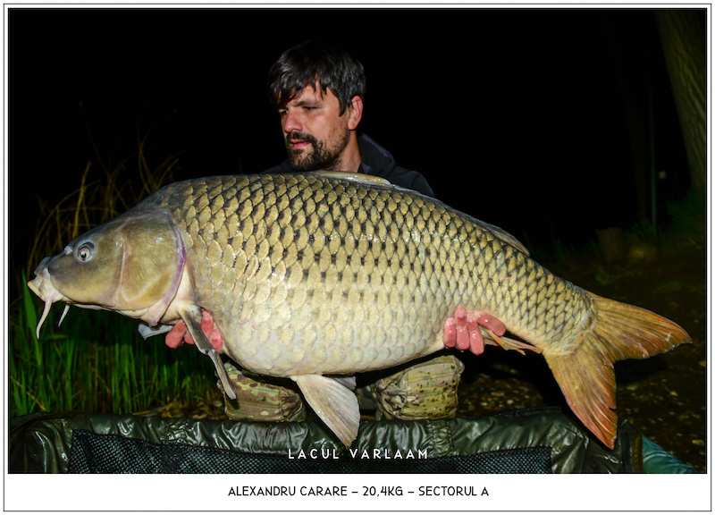 Alexandru Carare - 20,4kg, Sectorul A.jpg