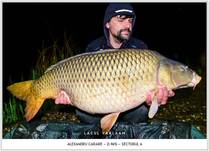 Alexandru Carare - 21,4kg, Sectorul A.jpg