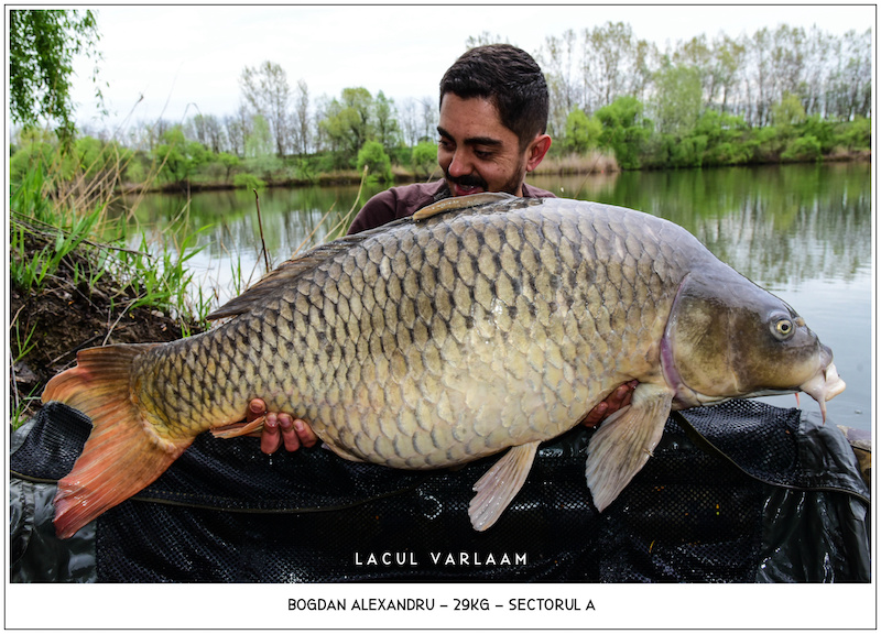 Bogdan Alexandru - 29kg, Sectorul A.jpg