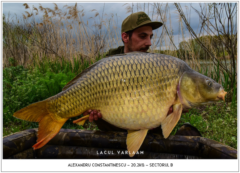 Alexandru Constantinescu - 20,2kg, Sectorul B.jpg